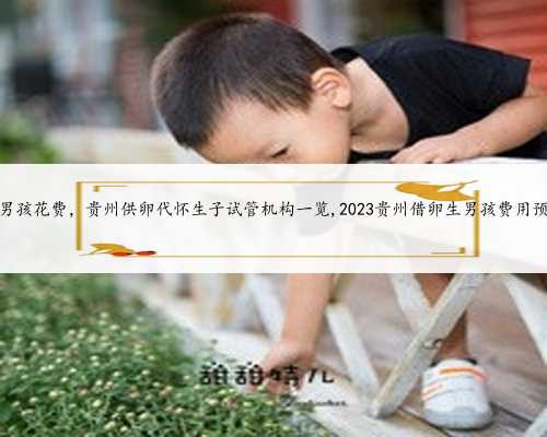 <b>贵州代生男孩花费，贵州供卵代怀生子试管机构一览,2023贵州借卵生男孩费用预</b>