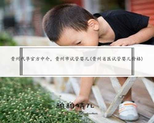 贵州代孕官方中介，贵州市试管婴儿(贵州省医试管婴儿价格)