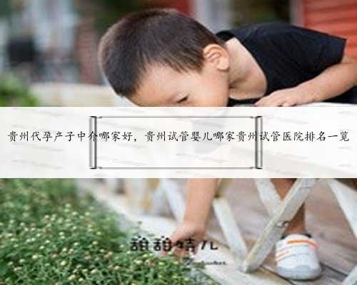 <b>贵州代孕产子中介哪家好，贵州试管婴儿哪家贵州试管医院排名一览</b>
