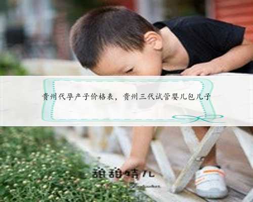<b>贵州代孕产子价格表，贵州三代试管婴儿包儿子</b>