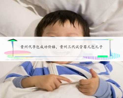 贵州代孕包成功价格，贵州三代试管婴儿包儿子