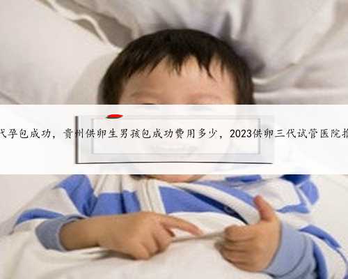 贵州代孕包成功，贵州供卵生男孩包成功费用多少，2023供卵三代试管医院推荐