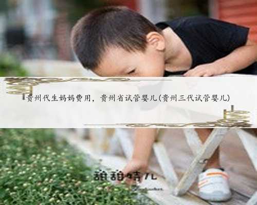 贵州代生妈妈费用，贵州省试管婴儿(贵州三代试管婴儿)
