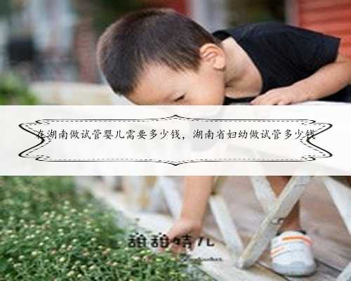 在湖南做试管婴儿需要多少钱，湖南省妇幼做试管多少钱