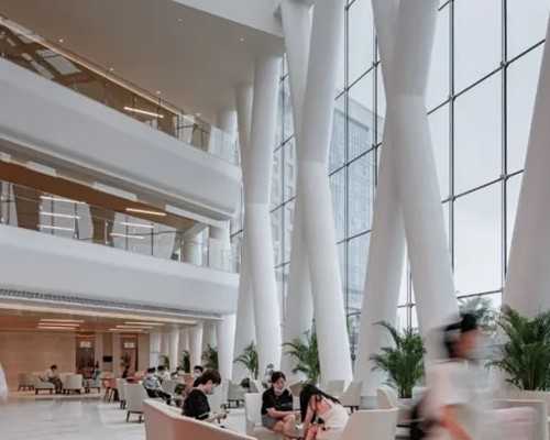 试管代孕公司机构_泰国代孕有几家,试管取卵过程一般多久？