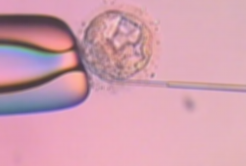 
              贵阳做试管有5万包成功的医院吗？
            