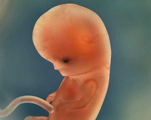 贵阳三代试管婴儿专家推荐成功率比较高的医院，14万够吗？