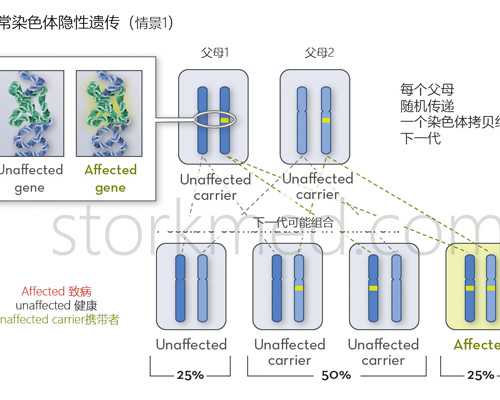 助孕包成功费用_代生包性别吗,怀孕50天有左卵巢囊肿，会影响生小孩吗？