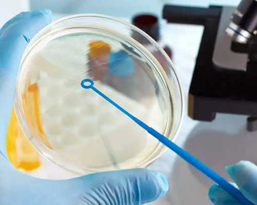 三代代孕公司，孕期低血压会影响胎儿发育么？