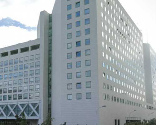 国内哪里做试管供卵_国内代怀怎么办,联环叶酸片和斯利安的区别对比，哪个效