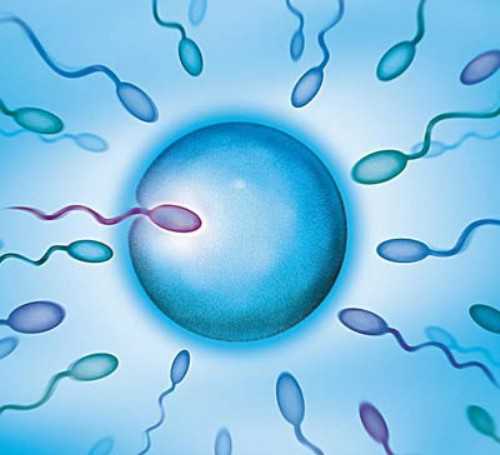 贵阳三代试管助孕公司