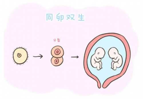 贵阳独家私立供卵机构名单