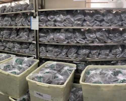 哪家代孕信誉最好_有试管代孕机构吗,防妊娠纹油（防妊娠纹乳霜）