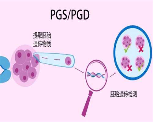 人工试管婴儿咨询服务，国内代生宝宝医院,想造7细胞二级胚胎成功率多少戳，