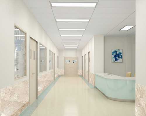 几个备孕前健康指南：如何实现理想的体重增长与保持均衡饮食。