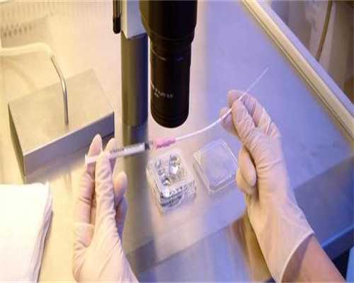 提升卵子质量，轻松迈向成功怀孕之路！