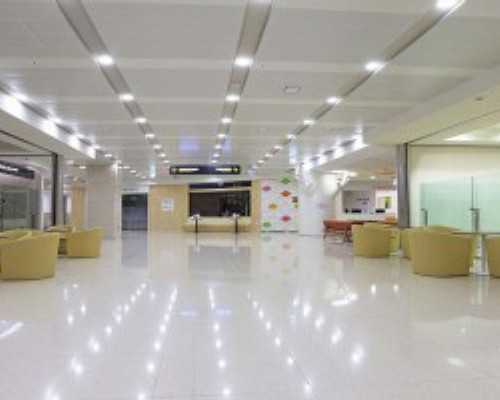 四个令人惊叹的增高方法：助你孩子快速长高！