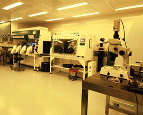 代孕哪里技术好,小卵泡排卵影响做试管吗