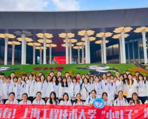 盆腔炎的治疗新探：五种常用疗法深度解析与比较