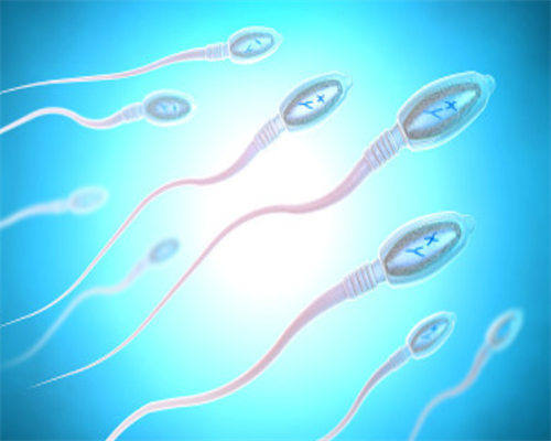 试管婴儿孕期的保胎与注意事项：备孕前三个月的关注点