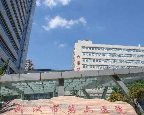 备孕妈妈们，玫瑰花茶来啦！详解药用价值及独特喝法，让你轻松备孕，顺利怀